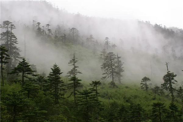 怒江旅游